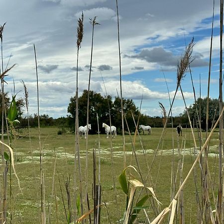 Le Mazet Sooksabai, Confort, Charme Et Decouverte En Petite Camargue Saint-Laurent-dʼAigouze Dış mekan fotoğraf