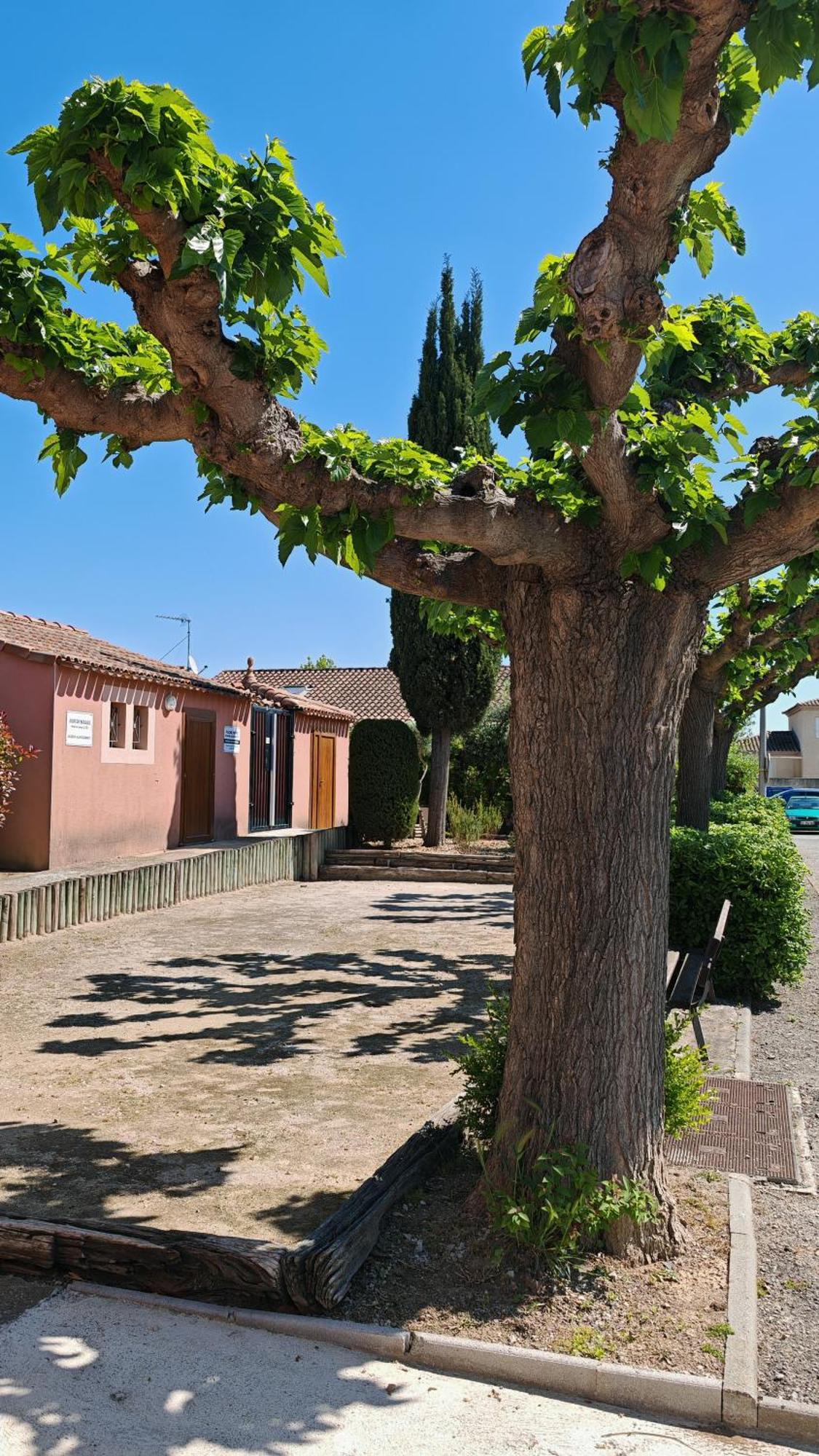 Le Mazet Sooksabai, Confort, Charme Et Decouverte En Petite Camargue Saint-Laurent-dʼAigouze Dış mekan fotoğraf